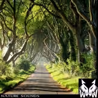West Wolf Nature Sounds [WAV]