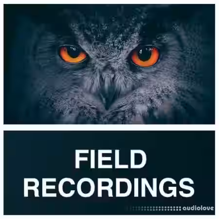 Whitenoise Records Field Recordings [WAV] - Sample Pack Artwork