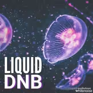 Whitenoise Records Liquid Drum & Bass [WAV]