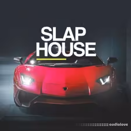 Whitenoise Records Slap House [WAV] - Sample Pack Artwork
