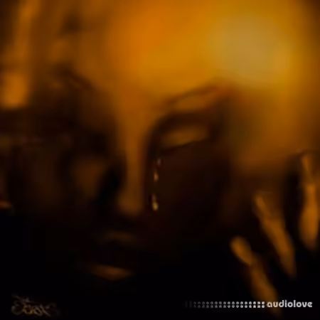 whylunar Tears Drumkit [WAV, Synth Presets] - Sample Pack Artwork