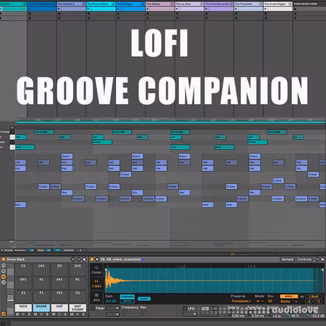 Will Hatton LoFi Groove Companion [DAW Templates]
