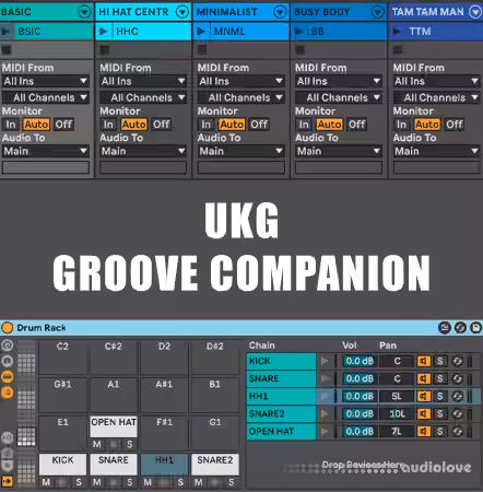 Will Hatton UKG Groove Companion [DAW Templates] - Sample Pack Artwork