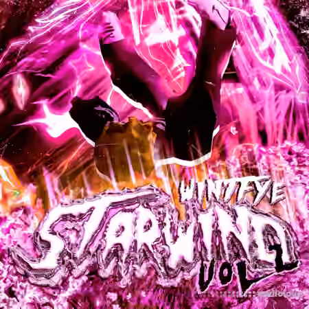 wintfye StarWind stash kit Vol.2 [Ultimate] [WAV, Synth Presets, DAW Templates, MiDi] - Sample Pack Artwork