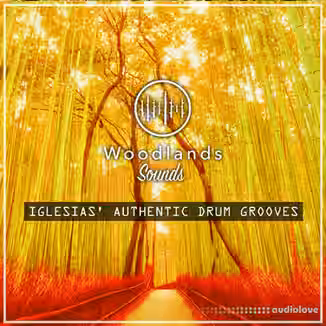 Woodlands Sounds Iglesias Authentic Drum Grooves [WAV]