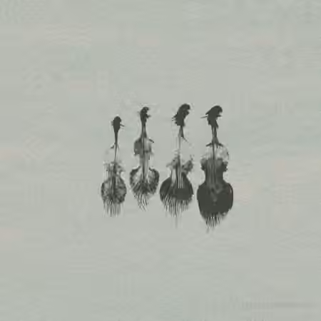 Wrongtools Feathersome Strings [KONTAKT] - Sample Pack Artwork