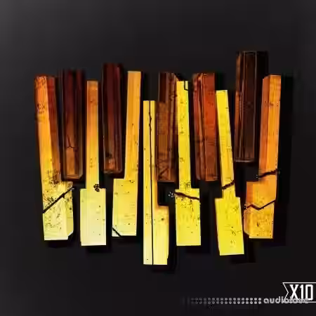 X10 Haunted Keys Vol.2 Drill X Trap [WAV] - Sample Pack Artwork