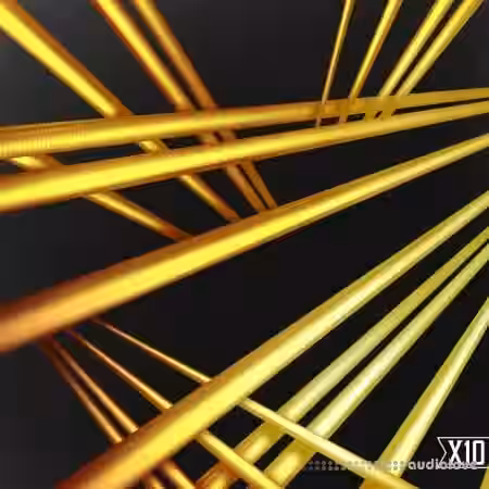 X10 String Theory Organic Trap and Processed Acoustics [WAV] - Sample Pack Artwork