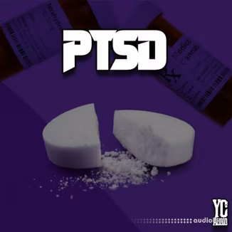 YC Audio Ptsd [WAV]