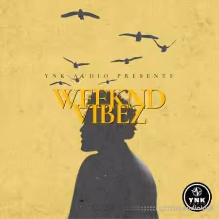 YnK Audio Weeknd Vibez: The Weeknd Type Loops [WAV] - Sample Pack Artwork