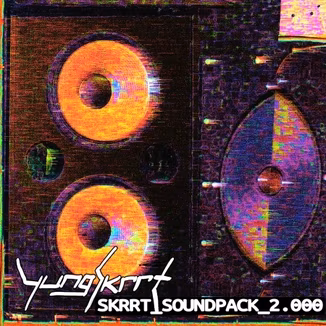 Yung Skrrt SKRRT SOUNDPACK 2.000 Standard Edition [WAV]