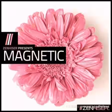 Zenhiser Magnetic [MULTiFORMAT] - Sample Pack Artwork
