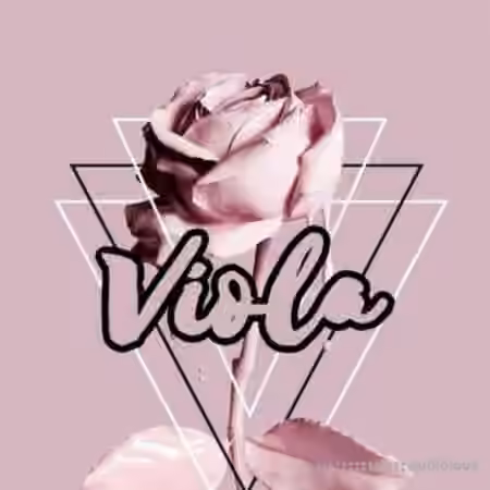 Ztar Audio Viola [WAV] - Sample Pack Artwork