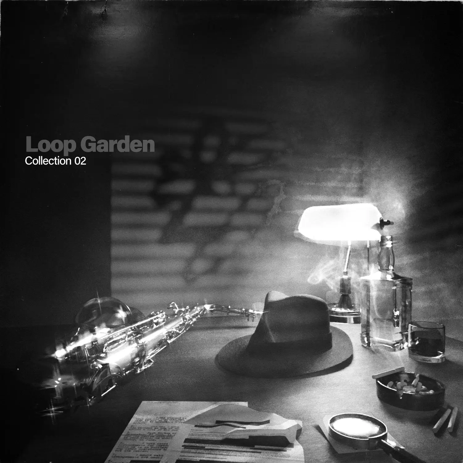 Loop Garden | COLLECTION 02 1 lg02 cover art v2 2 1
